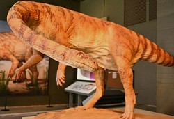 Dinosaur Park